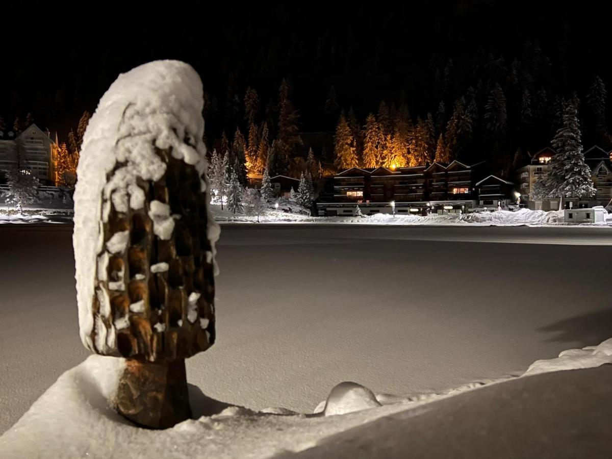 Superbe Appartement Champex-Lac Avec Piscine Et Sauna Eksteriør billede