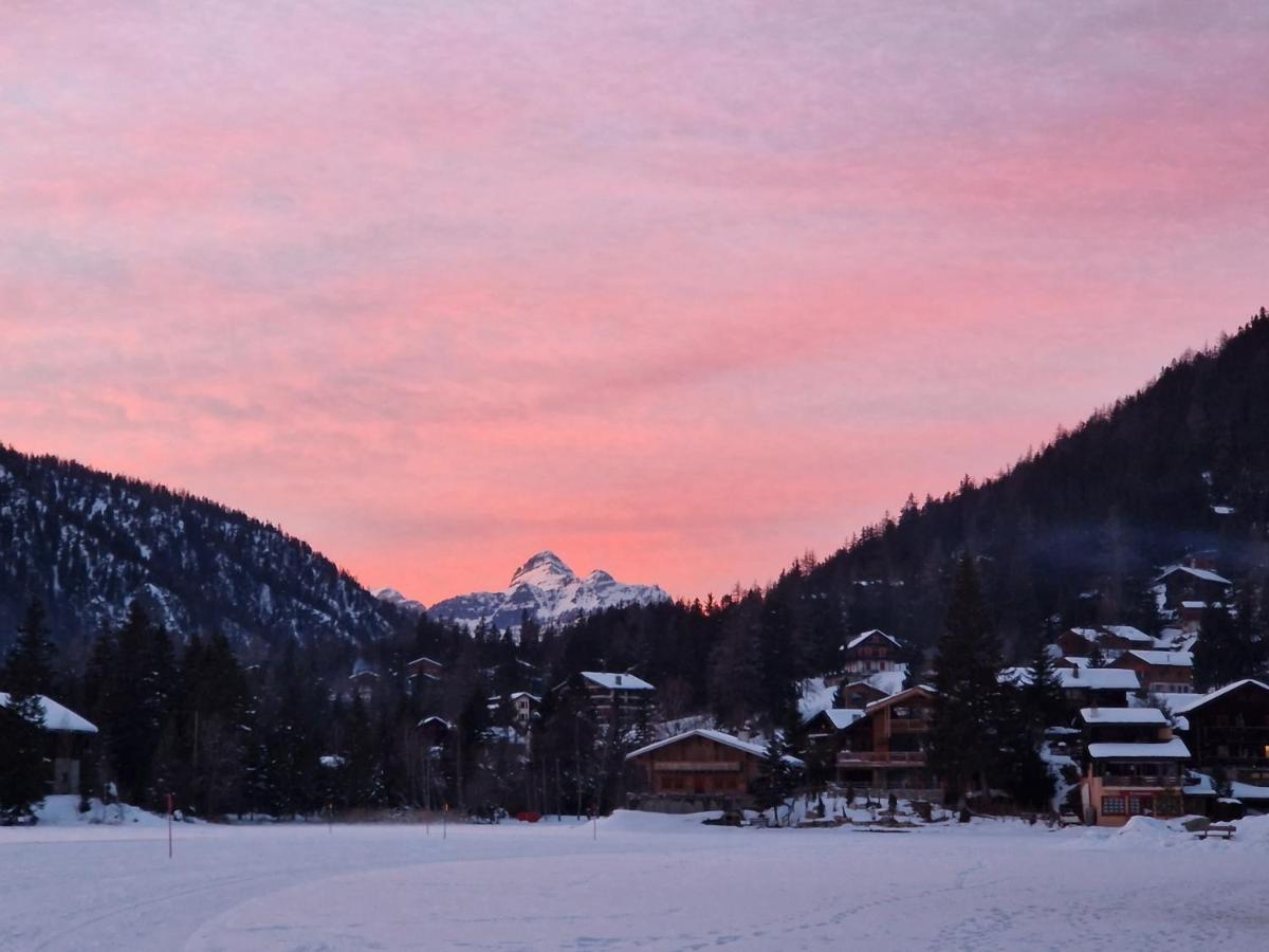 Superbe Appartement Champex-Lac Avec Piscine Et Sauna Eksteriør billede