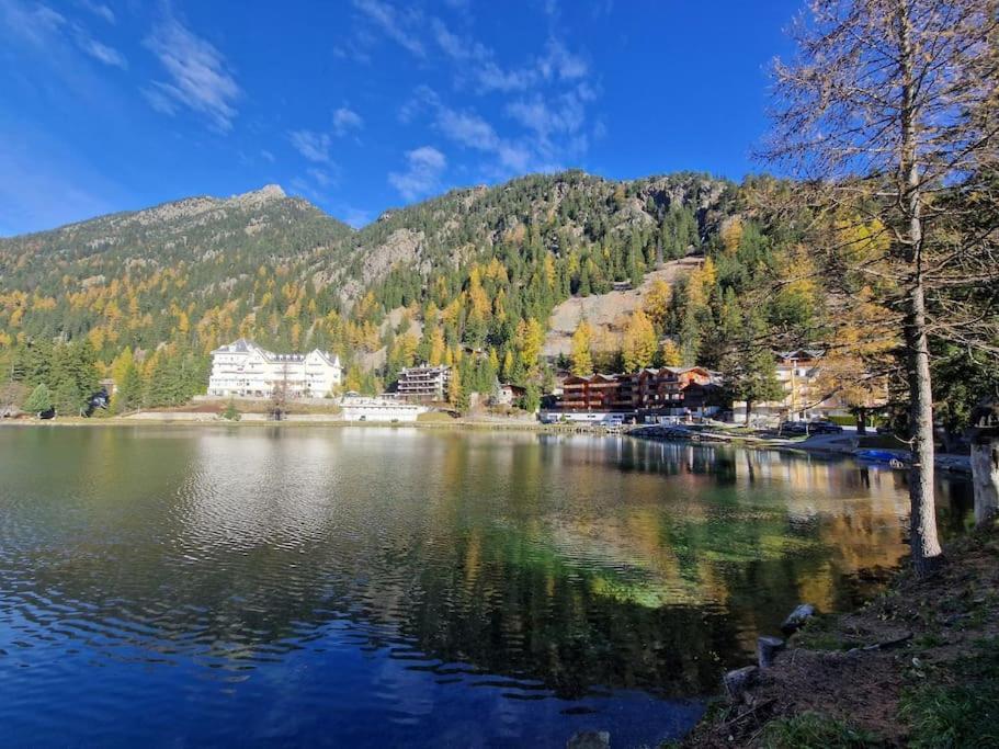 Superbe Appartement Champex-Lac Avec Piscine Et Sauna Eksteriør billede