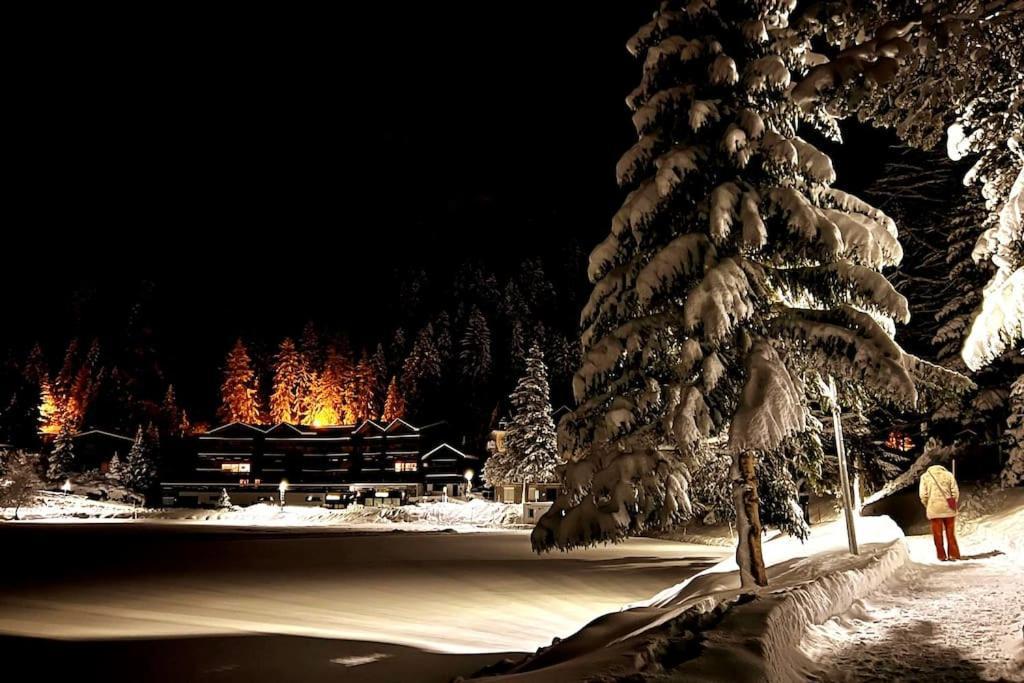 Superbe Appartement Champex-Lac Avec Piscine Et Sauna Eksteriør billede
